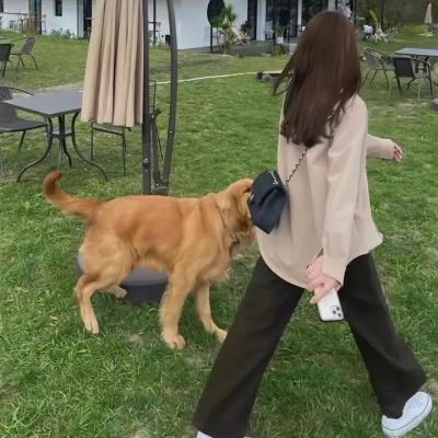 霍家拳之精武英雄